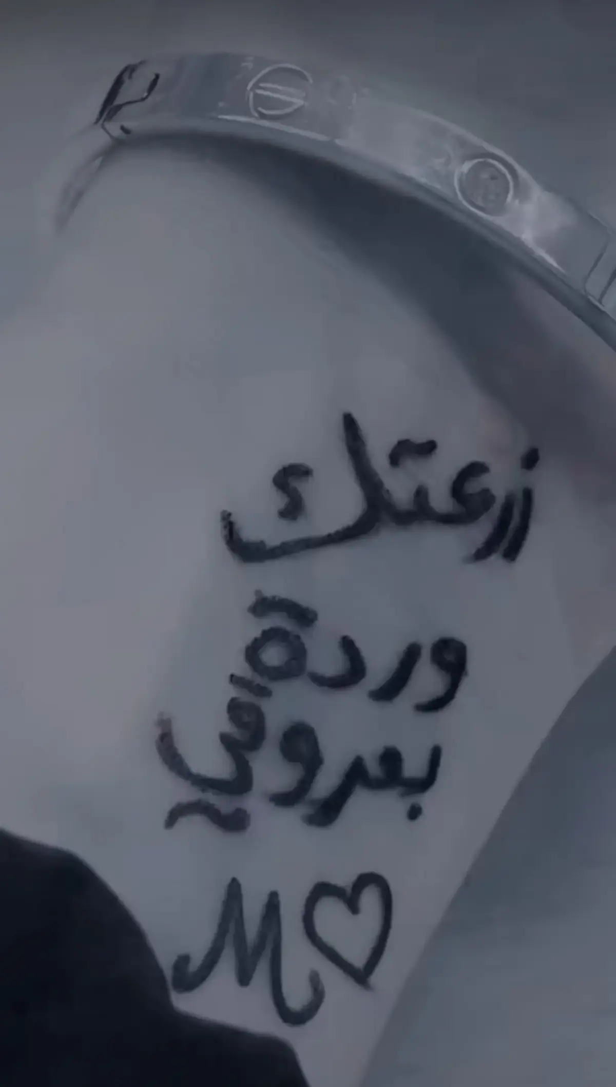 #زرعتك_وردة_بعروقي #الله_يجمعني_فيك_يا_نبض_قلبي #غيابك_كسرني💔🥺 #اشتقتلك #حبيبي❤️ #نبض_غلاتو #اكسبلور #كلس 