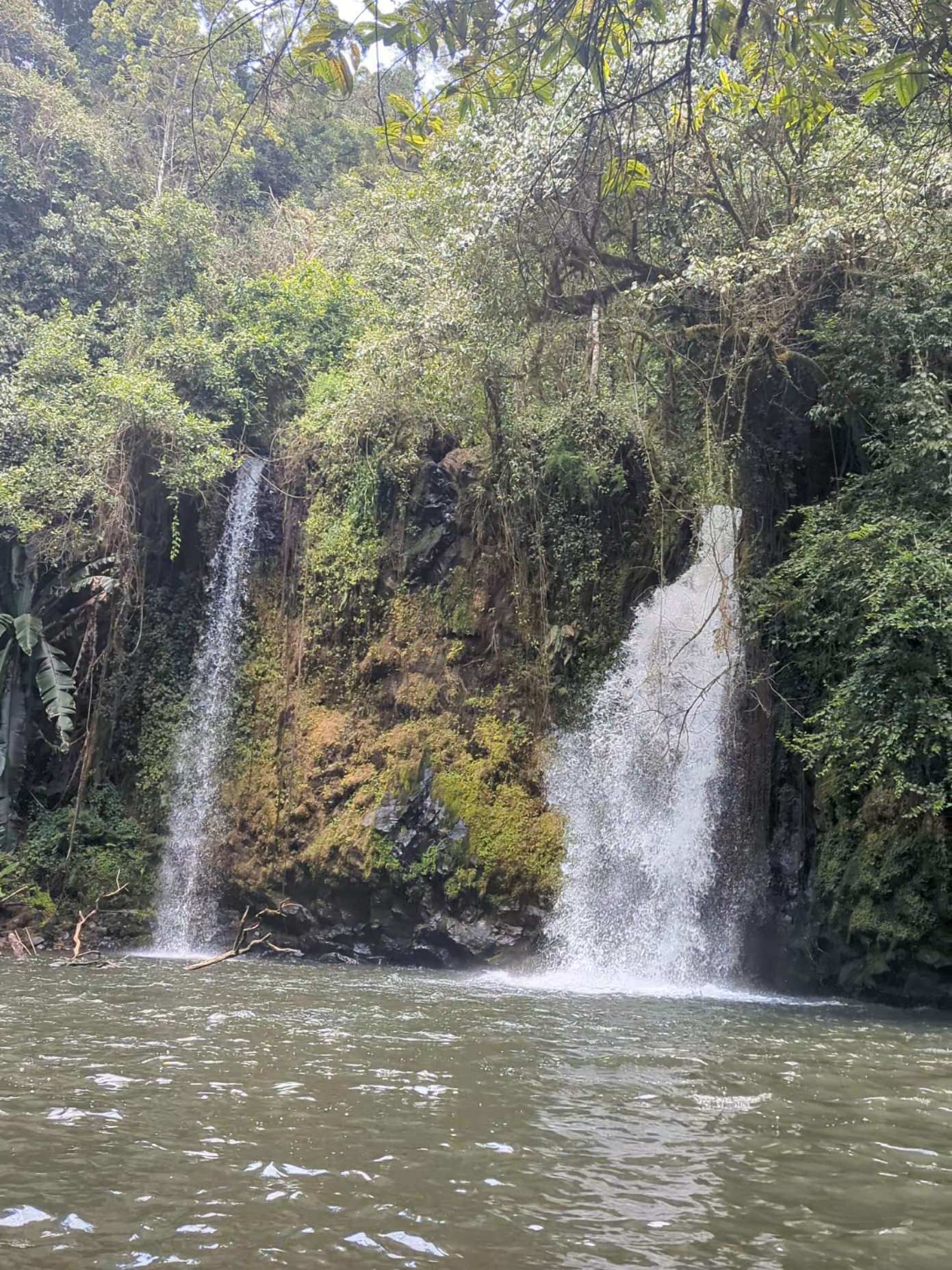 |📌 Thuci falls - Mt. Kenya forest, Embu #waterfall #kenya #hikingadventures #Hiking #tembeakenya #magicalkenya #embu #embutiktokers #mtkenya #irangiforest #thucifalls #hikinginkenya #kenyantiktok #tiktokkenya #kenyantiktokers 