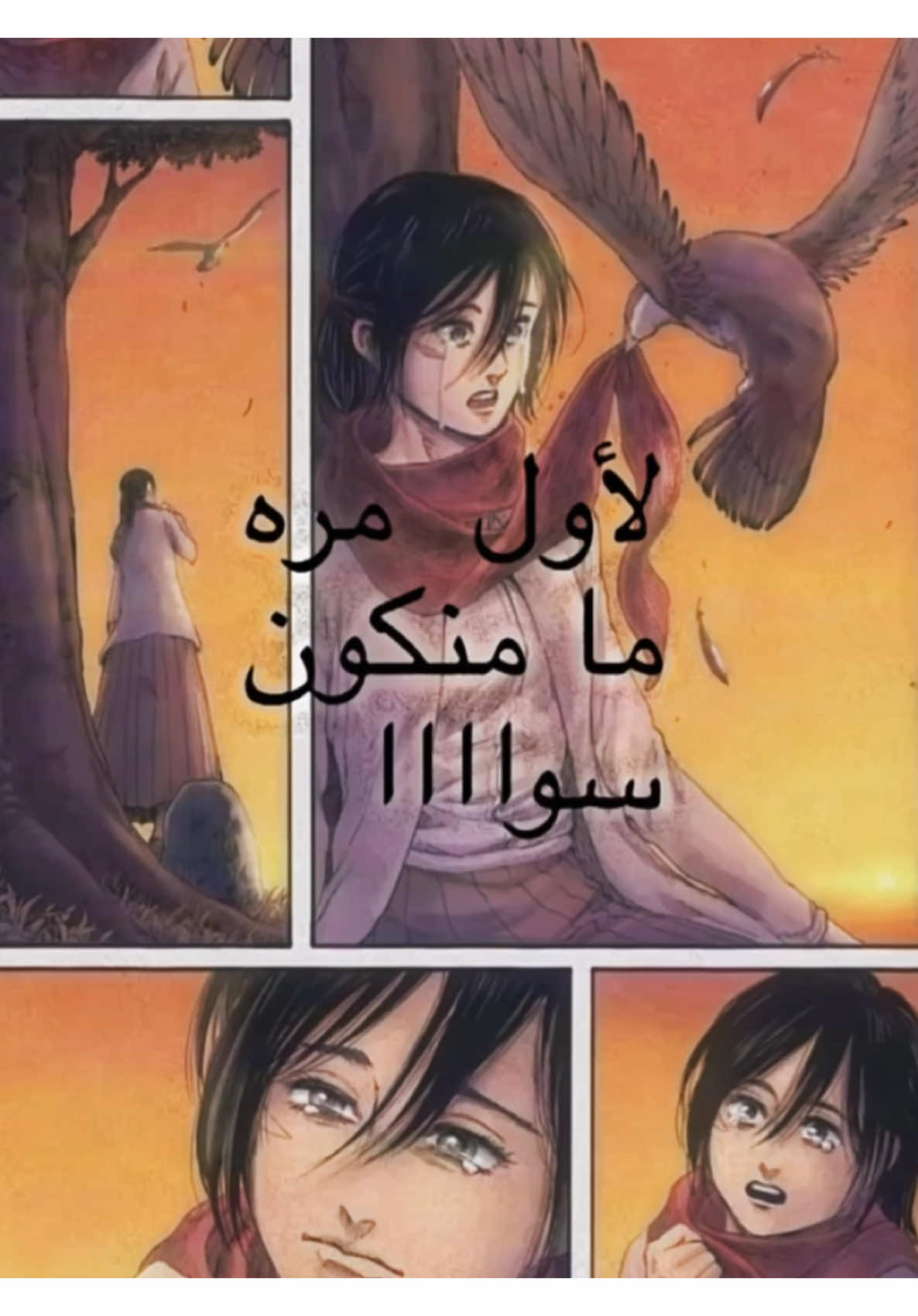 بكاني الهوى #CapCut #AttackOnTitan #فيروز #foryou 