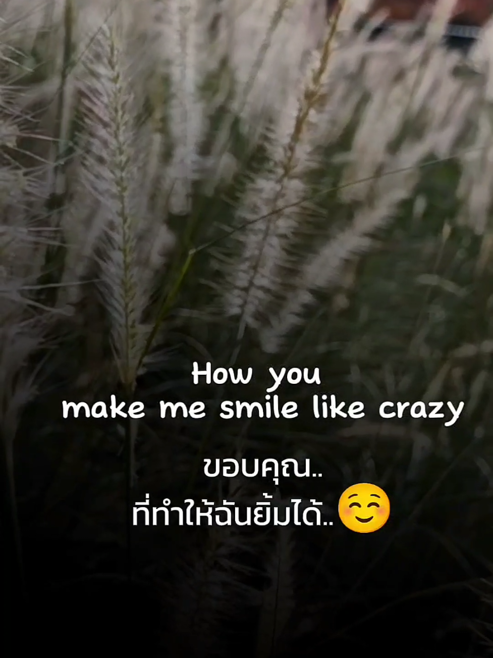 ❤️🧑‍🦰 Thank you for coming into my life. #อยากมีแฟนฝอ #เริ่มต้นสายฝอ #สายฝอห้ามพลาด #จีบฝอวันละนิดจิตรแจ่มใส #หัดเรียนภาษา #อยากมีสามีฝรั่ง #สายฝอมาทางนี้ 