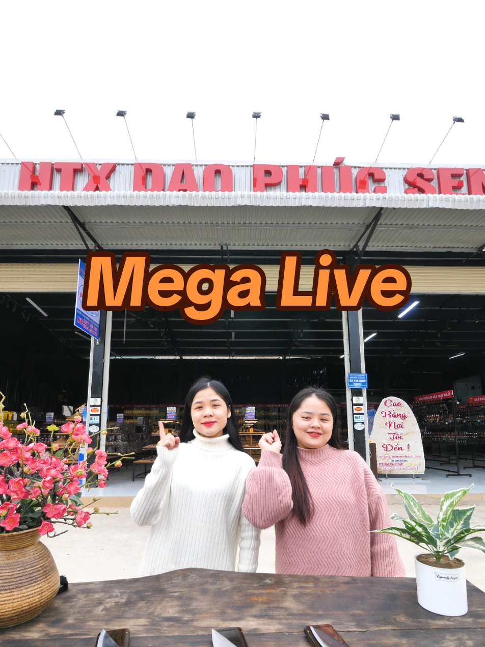 Mega live SALE đón tết hàng ngàn deal khủng dao bếp, dao mèo, dao đi rừng cho cả nhà minh cùng săn ạ! #idol #hottrend #xuhuong #hangchinhhang #htxdaophucsen #daovip #daoloc #deal #megalive #dontet #chucmungnammoi