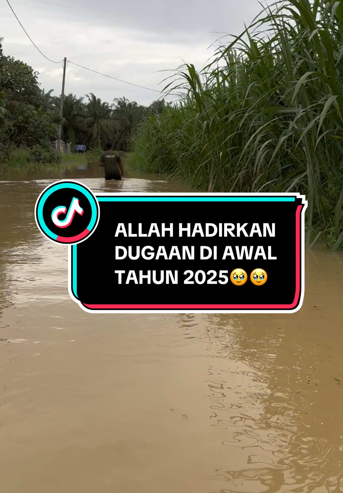 #banjir #dugaan #banjir2025🥺 #banjirfollowers #banjirjohor #KORBAN #dugaankehidupan #bismillahfyp #dugaankehidupan #fyp #kandang #banjirjohor 