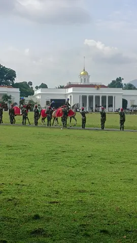 Pasukan Berkuda #kuda #kavaleri #taruna #istananegara #bogor 