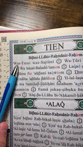 Surah at-tien 95  #quran #quran4you #🌹 #foryou #foryoupage #🤎 #hassantsammler 