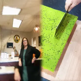 Rude employees are educated by the police! #police #policeoftiktok #audit #america 