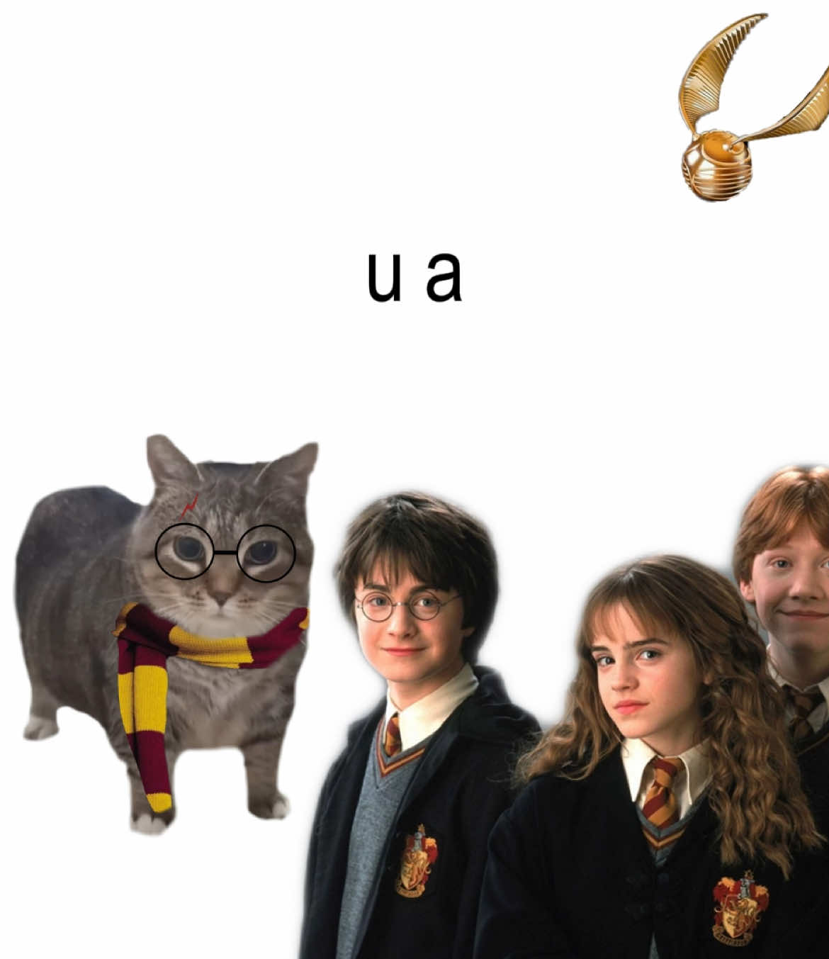 Harry Potter and Uia Cat #cats #fyp #foryou #harrypotter