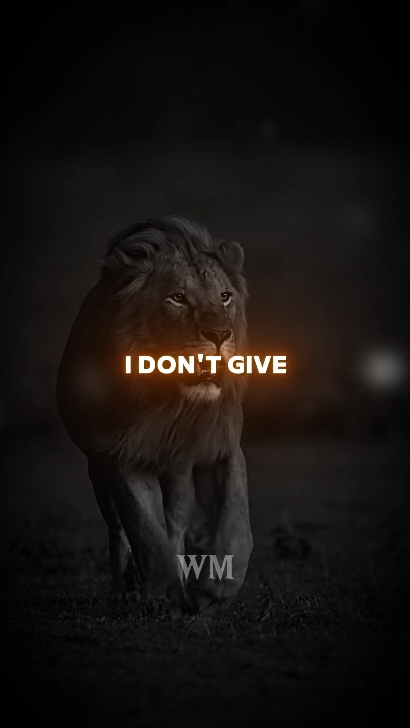 I Don't Give a... . #motivation #usa #usa_tiktok #unfreezemyaccount #listentothiseveryday #growbeyoundyourlimits #yourblessingiscoming #quotesoftheday #fyp #motivationalquotes #inspirationalquotes #motivationalspeeches #bravemind #stoicism #mindset #quotes #inspiration #peakmotivation 