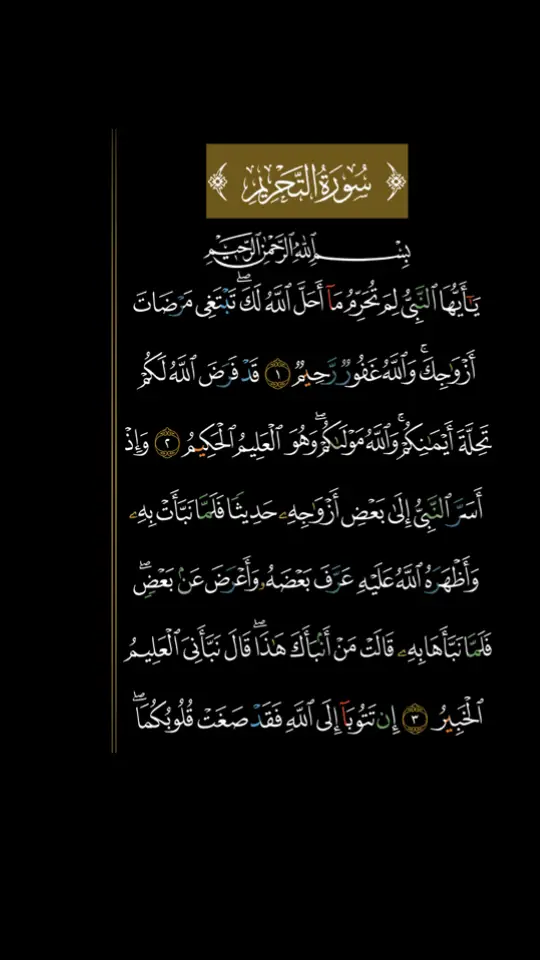 #الشيخ #احمد_العجمي #سوره_التحريم #ارح_سمعك_بالقران🎧♥️الكريم🥀 #صدقه_جاريه_لوالدي #صدقه_جاريه_لجميع_اموات_المسلمين 