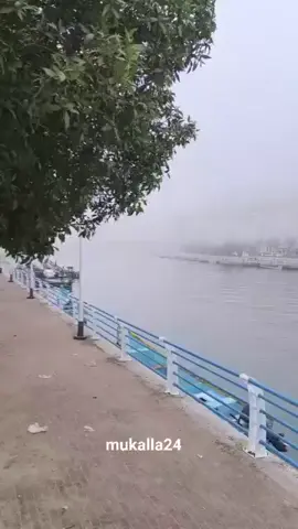 صابت سهام الحسن من كان حاضراحتار فيهاكل واصف وناظراجمل واحلا من جميع المناظروارق من نسمه وياسمينة