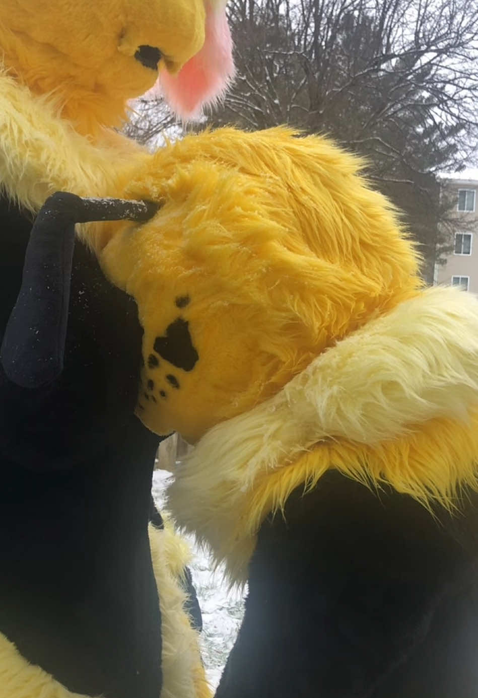 When the queen is just the right height🐝 #furry #furries #fursuit #fursuiter #fursuiting #fursuitmaker #fursuits