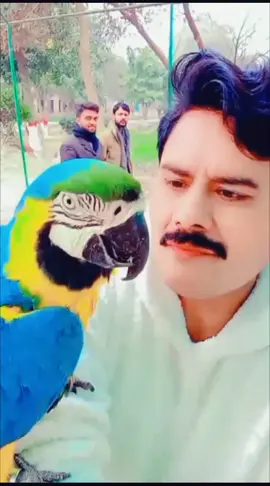 #patloar @ajnbi🦁 @💪راناشاہ کوٹ ال🔥 @نوره شيخة-143 