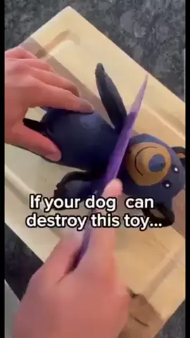 The 