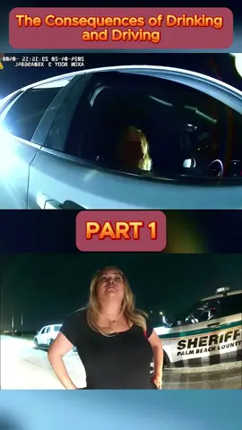 The Consequences of Drinking and Driving - Part 1 #cops #copsoftiktok #copsontiktok #copstiktok #police #chase #copschase #foryou #fyp #usa 
