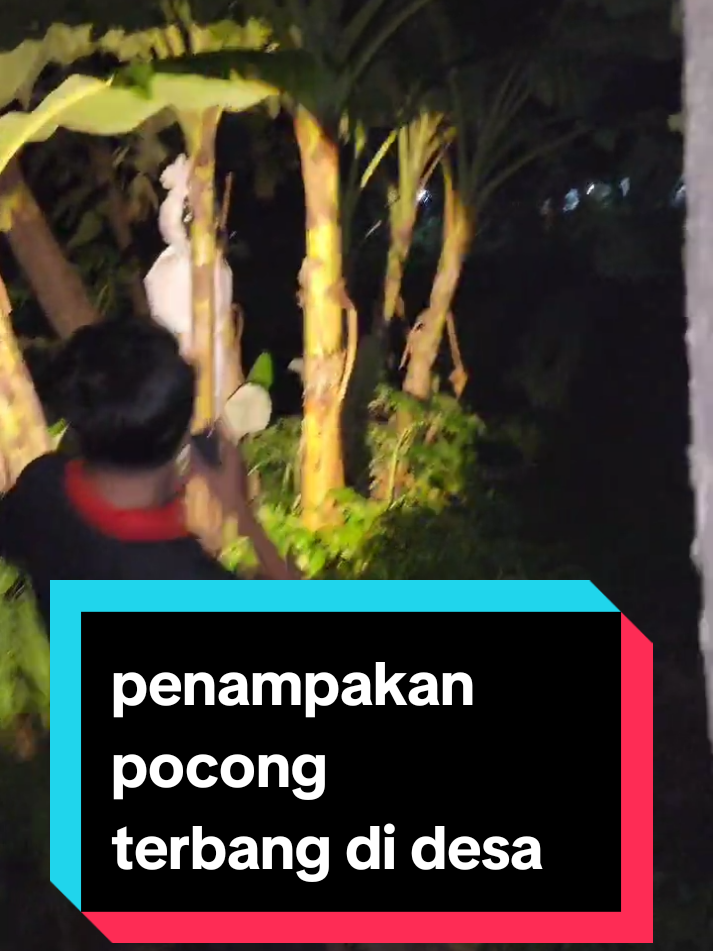 penampakan pocong terbang di desa #penampakan #pocong  #duadunia #horor  #penampakanpocongterbangdidesa #penampakanaslinyata #misteri #paranormal 