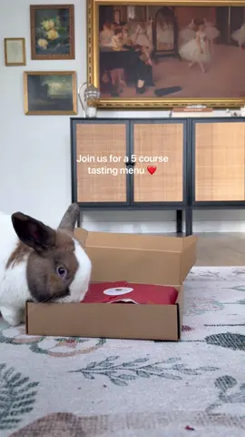 A romantic 5-star, 5-course Valentine’s meal for two bunnies that stole my heart ❤️ In light of the ongoing wildfires in the LA area, we’re donating 10% of every Valentine’s Binky Bundle to support Zooh Corner Rabbit Rescue as they work to rebuild after devastating losses. The fires took everything—their home, medications, and supplies—but not their commitment to saving elderly and special needs rabbits. If you’d like to contribute directly, you can donate via: > Zelle: zoohgirl@gmail.com > PayPal: zoohcorner@mybunny.org Every little bit helps make a difference for bunnies in need🐇❤️