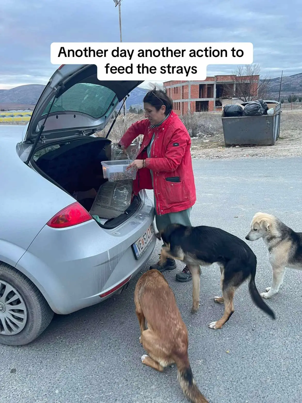 🔗paypal link in bio🙏❤️ #donatefood #animalshelter #straydog #feedingthehomeless #cryforhelp #abusedanimals #dogsinneed #catsneedhelp #dogshelter 