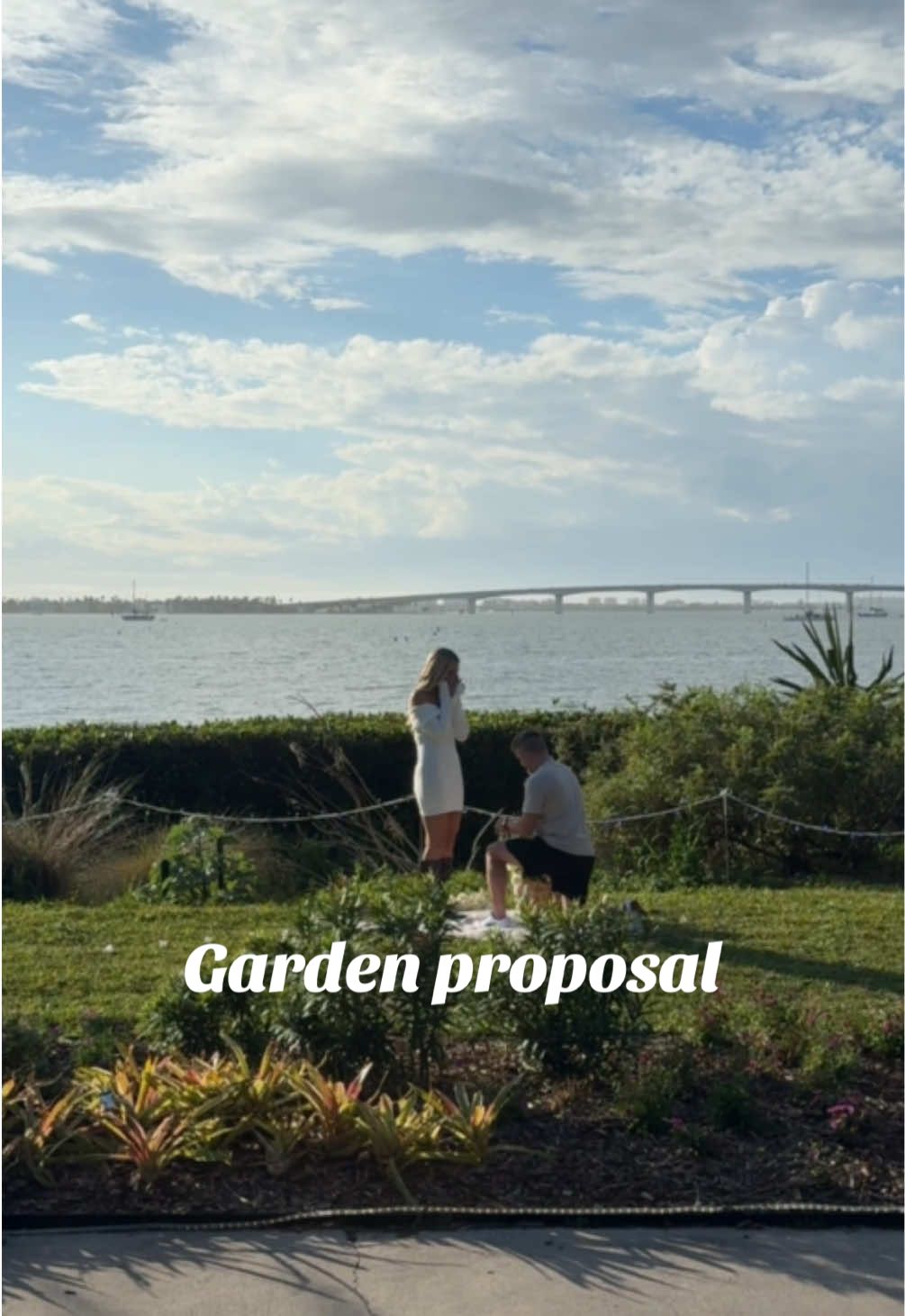 A romantic garden proposal🤍💍 #tampaphotographer #stpetephotographer #tampaweddingphotographer #stpeteweddingphotographer #weddingphotographer #proposalphotographer #engagementphotos 