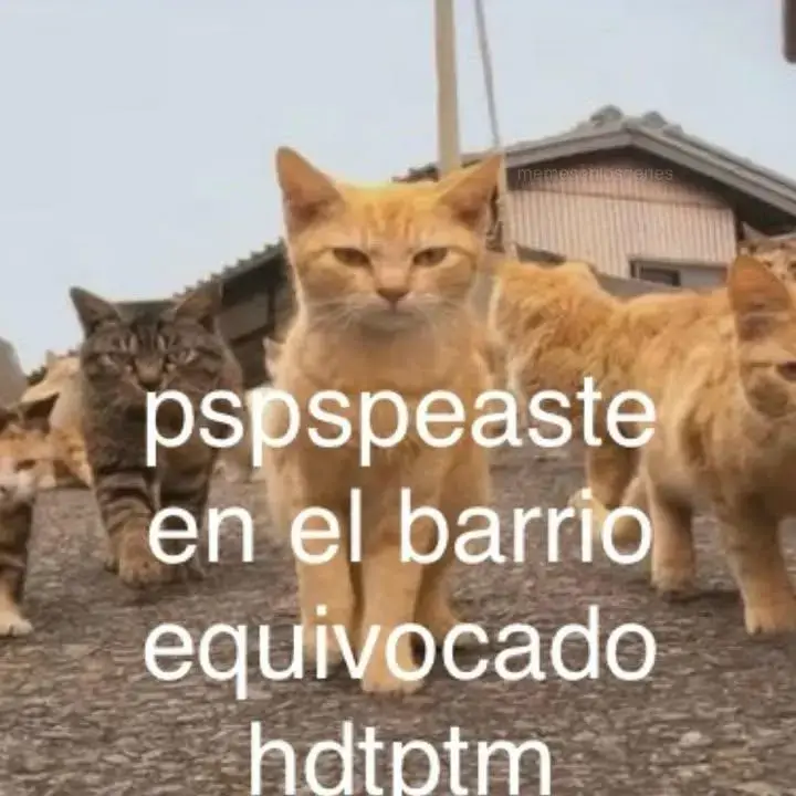 JAJAJAJJA #tiktokponmeenparati #alaberga #xyzbca #fyp #gatitos 