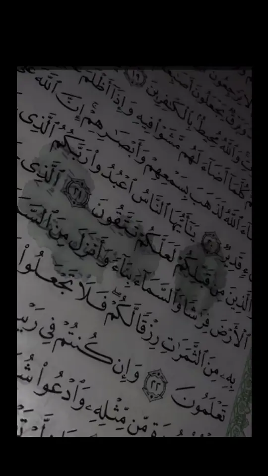 #وامااا القلوب المنكسره فرب الحسين كفيلهااا 💔 #