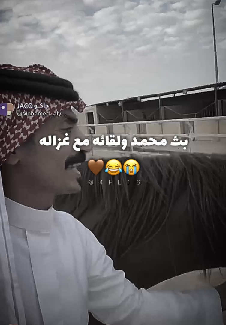 ماشاء الله 🥺💘💘. - #fyp #fypシ #اكسبلور #محمد_اليامي @محمد اليامي ( قرم النفود ) #السوق_بقناة_الواقع #خيل 