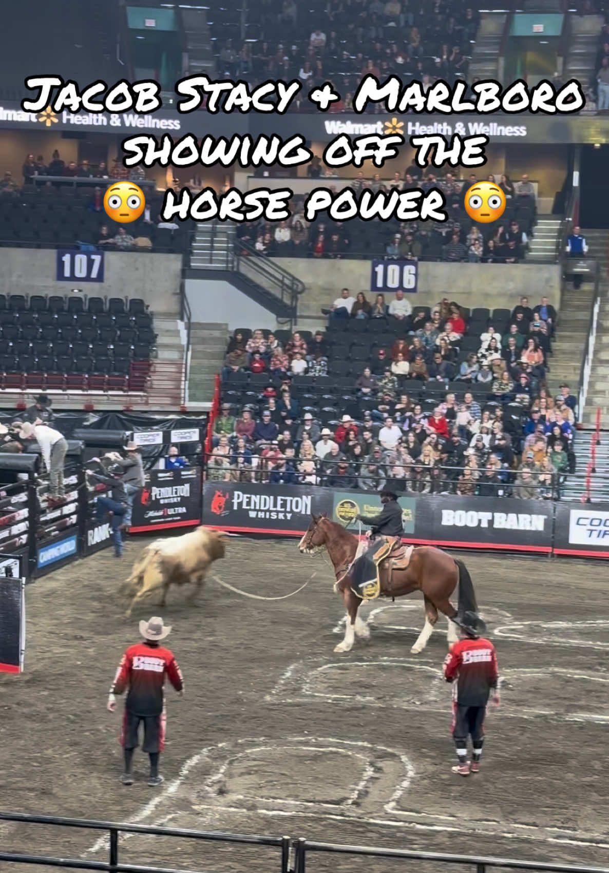 Jacob Stacy and Marlboro showing some incredible power. 😳 #pbr #pbrbull #bullriding #bulls #fyp #foryou @PBR 