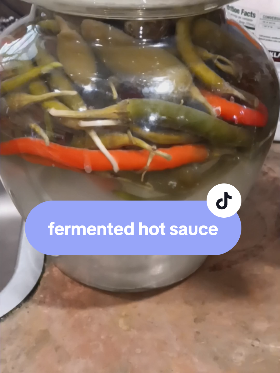 let's make fermented hot sauce #hotsauce #fermentation #probiotics #homesteading 