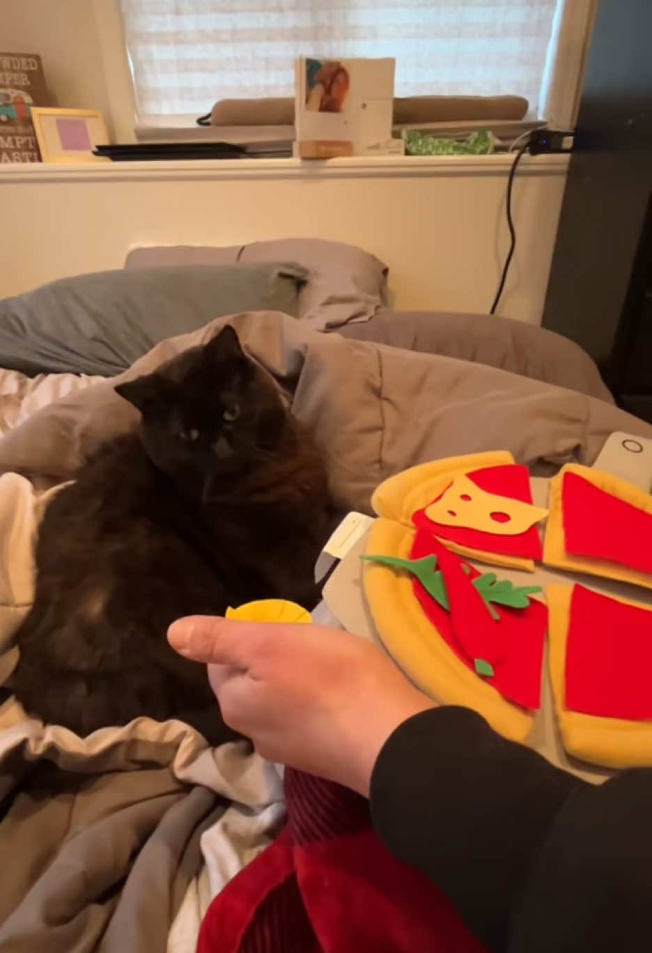 Reposting some of my fav vids over the past couple of years! 🍕🧑‍🍳🤌 #cattok #catsoftiktok #blackcatsoftiktok #ikea #viralvideo 
