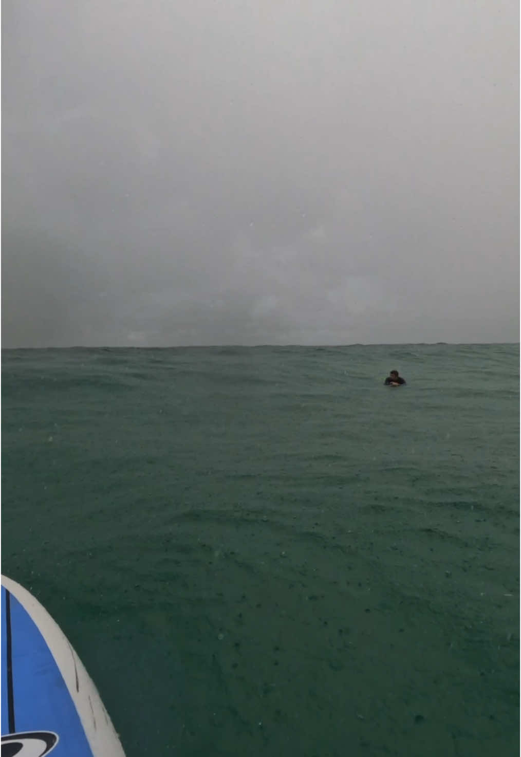 Creeps me out when u look down and see a huge tail swinging side to side 🥶#surf #surfing #surfer #learntosurf #surftips #beginnersurfer 