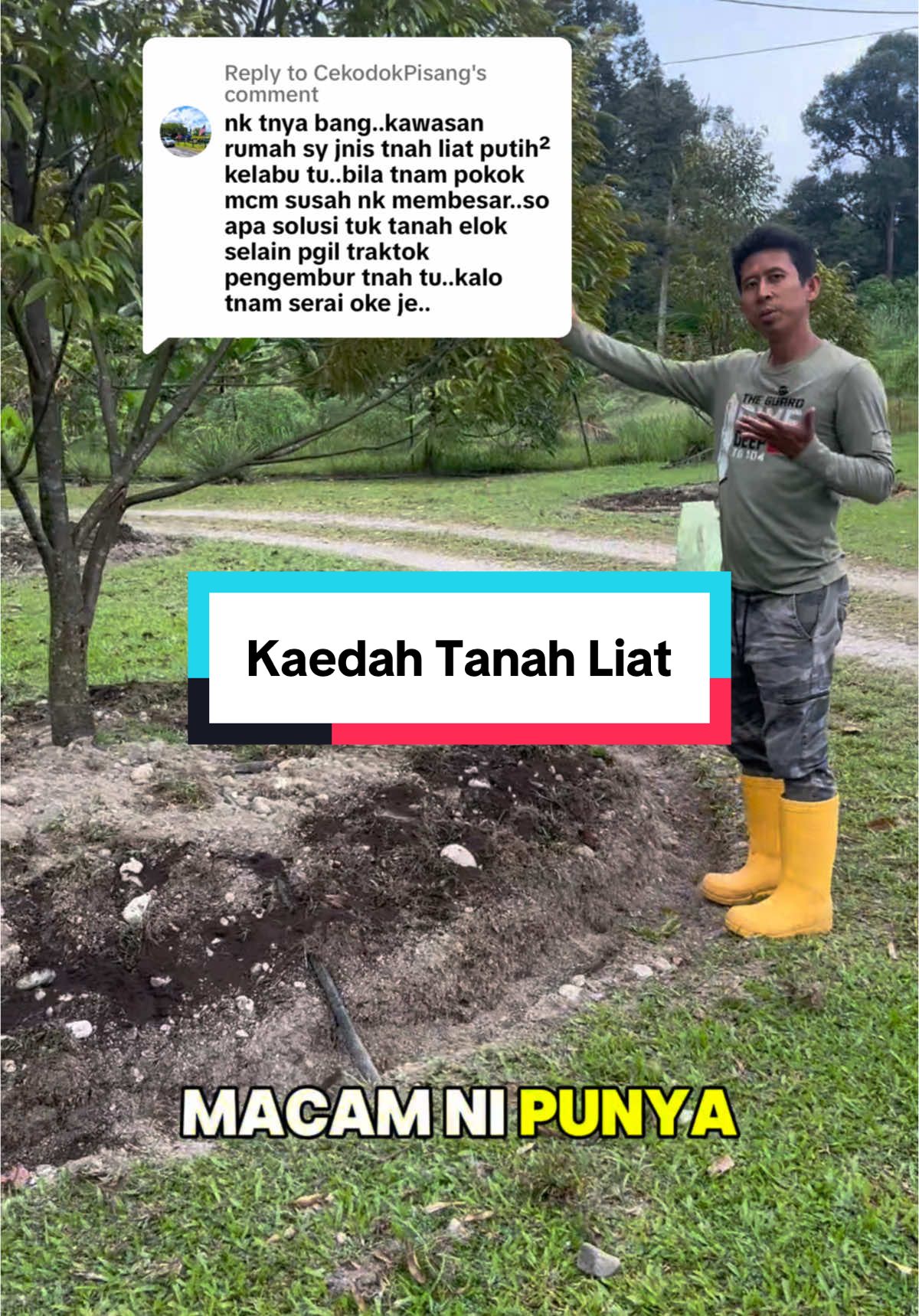 Replying to @CekodokPisang asalnya tanah ni adalah sungai. Jadi, tuan tanah top up dengan pasir dan tanah liat 6 tahun lepas. Sebab tu perkembangan pokok kurang cantik kerana ada water loging kawasan ni. Pandangan saya, tuan boleh buat kaedah busut berserta parit/longkang keliling pokok sama macam kaedah yang saya buat dekat pokok durian ni 😁 #dusuncikgumail #izzatismail #konsultan #konsultankebun #durian #tanah #zeolite #rawatantanah #baja #bajaorganik #diptia 