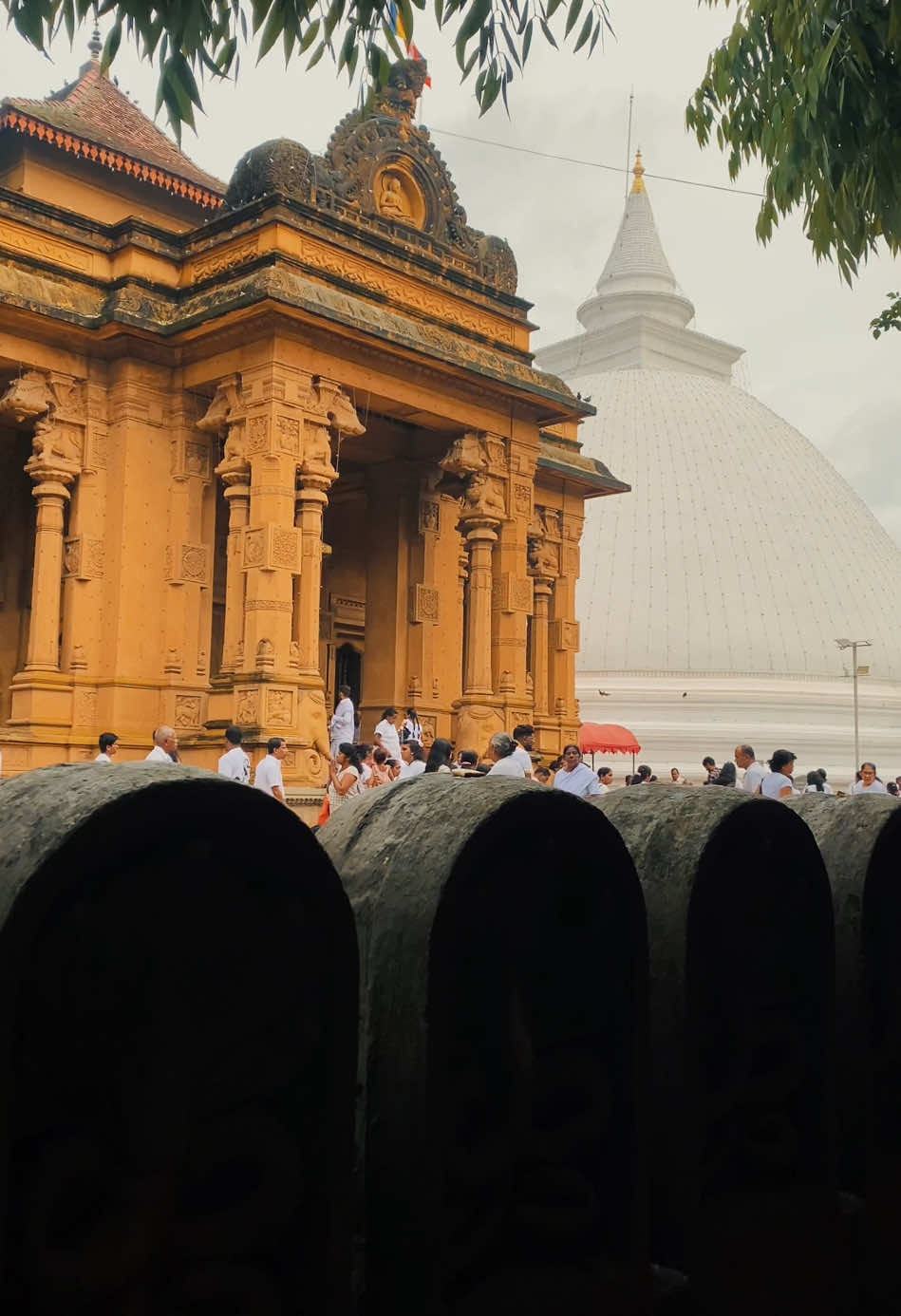 පිංබර දුරුතු පුර පසලොස්වක පොහොය දිනයක් වේවා! 💫❤️ #duruthupoya #kelaniya #kelaniya_rajamaha_viharaya #srilanka #buddhism 