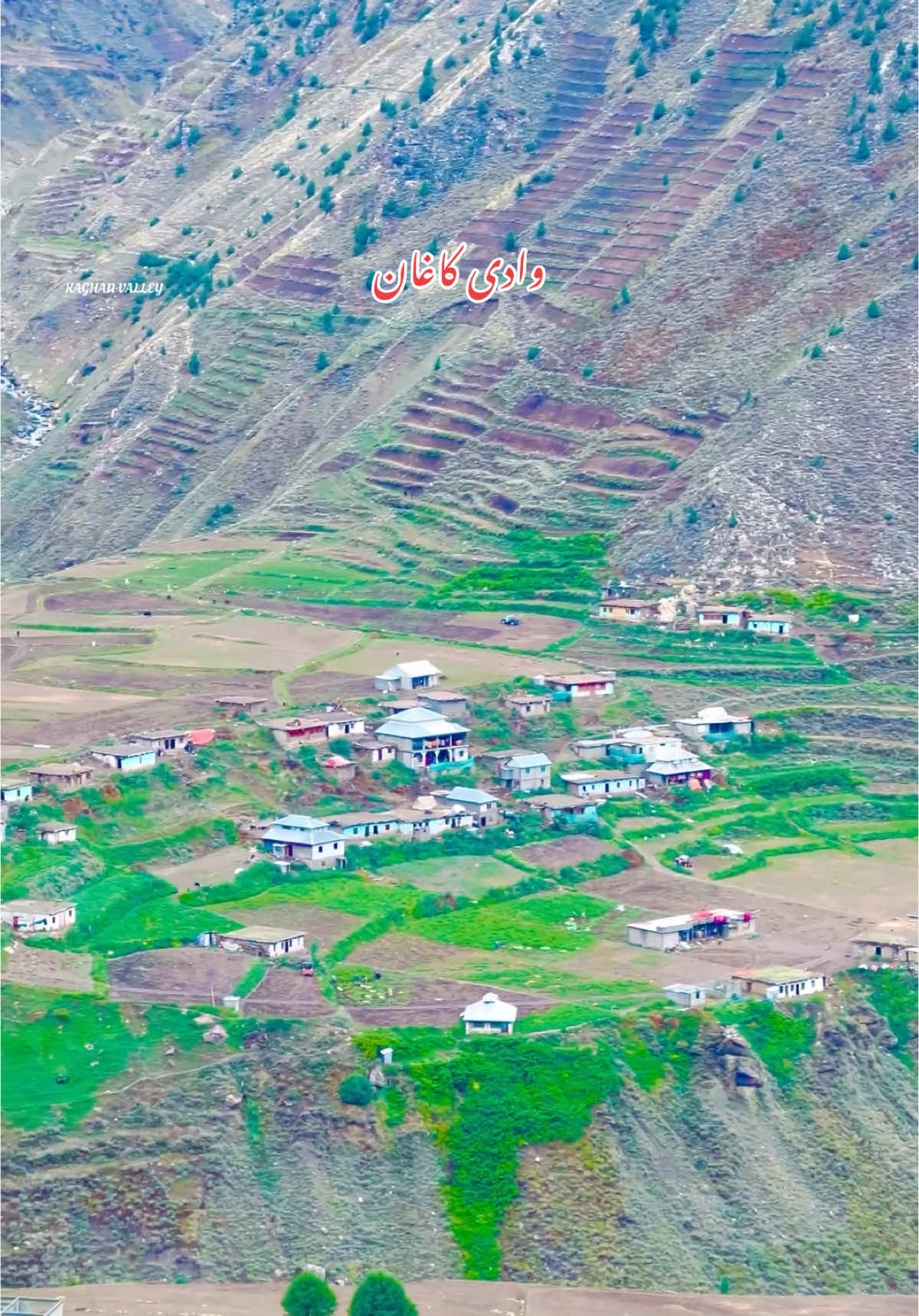 Beautiful View Of Village Bans Kaghan Vallley