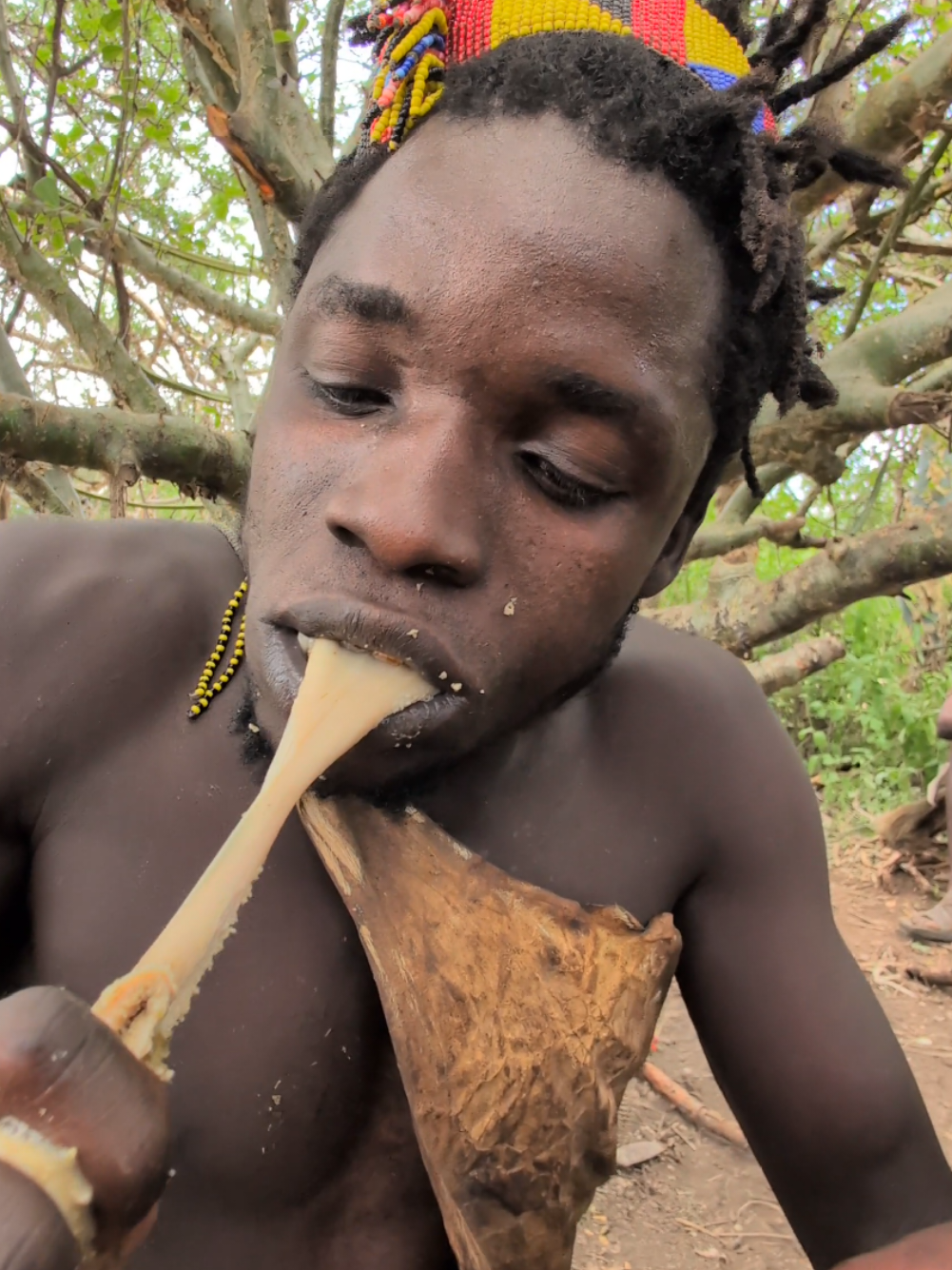 Wow 😳 Amazing delicious food Bushman Have it middle of Jungle #hadzabetribe #FoodLover #AfricanFood #culture #africa #uktiktok #usa🇺🇸 