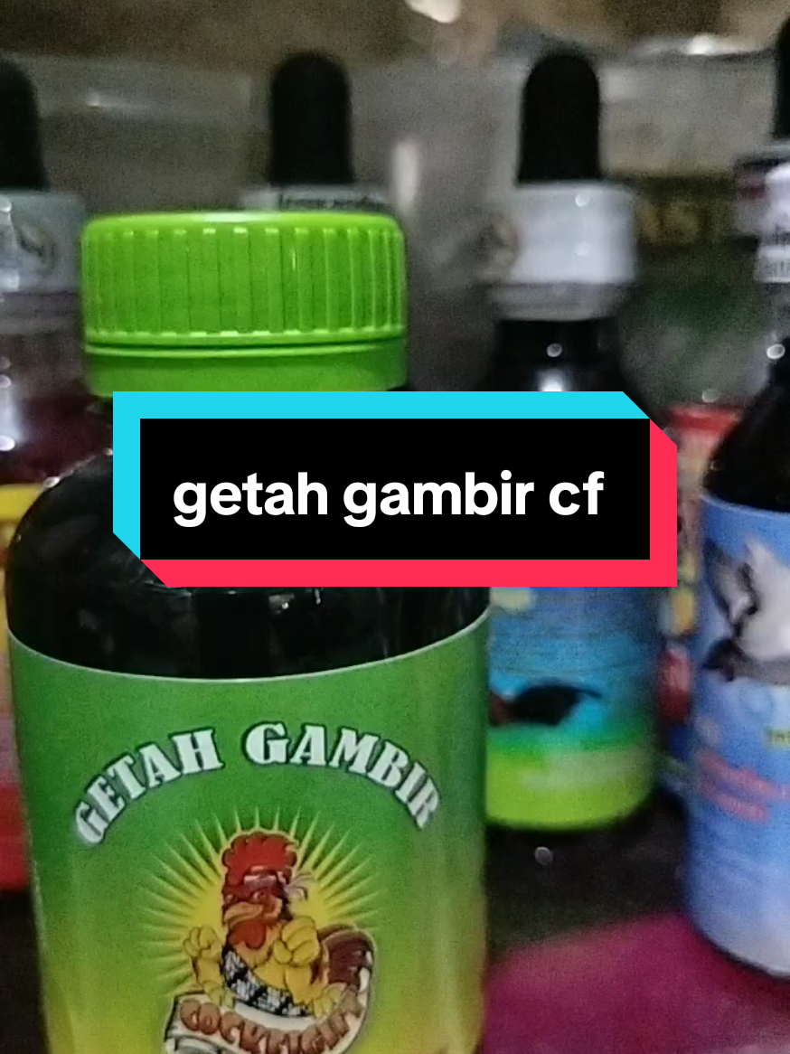 getah gambir cf 