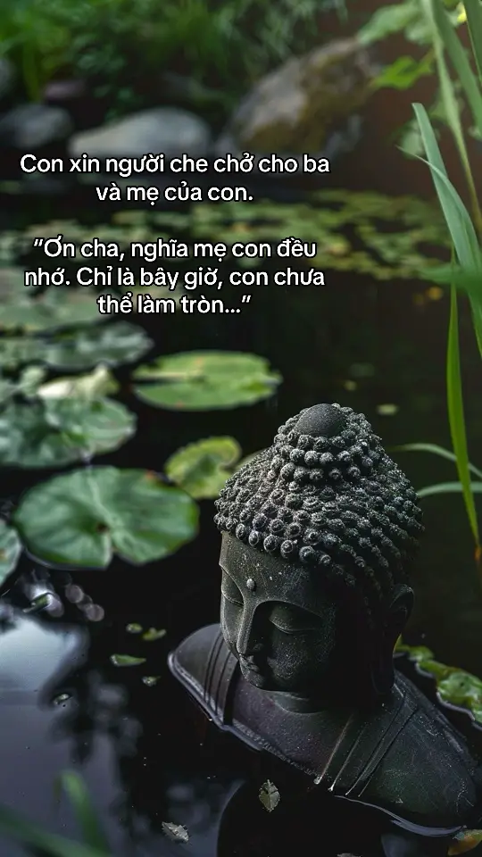 Xin Ngài che chở cho ba mẹ con, và dẫn đường chỉ lối cho con không phạm phải sai lầm🙏🏼🪷 #phatphapnhiemmau #ducphat #tinhtam #tuduong #phatphap 