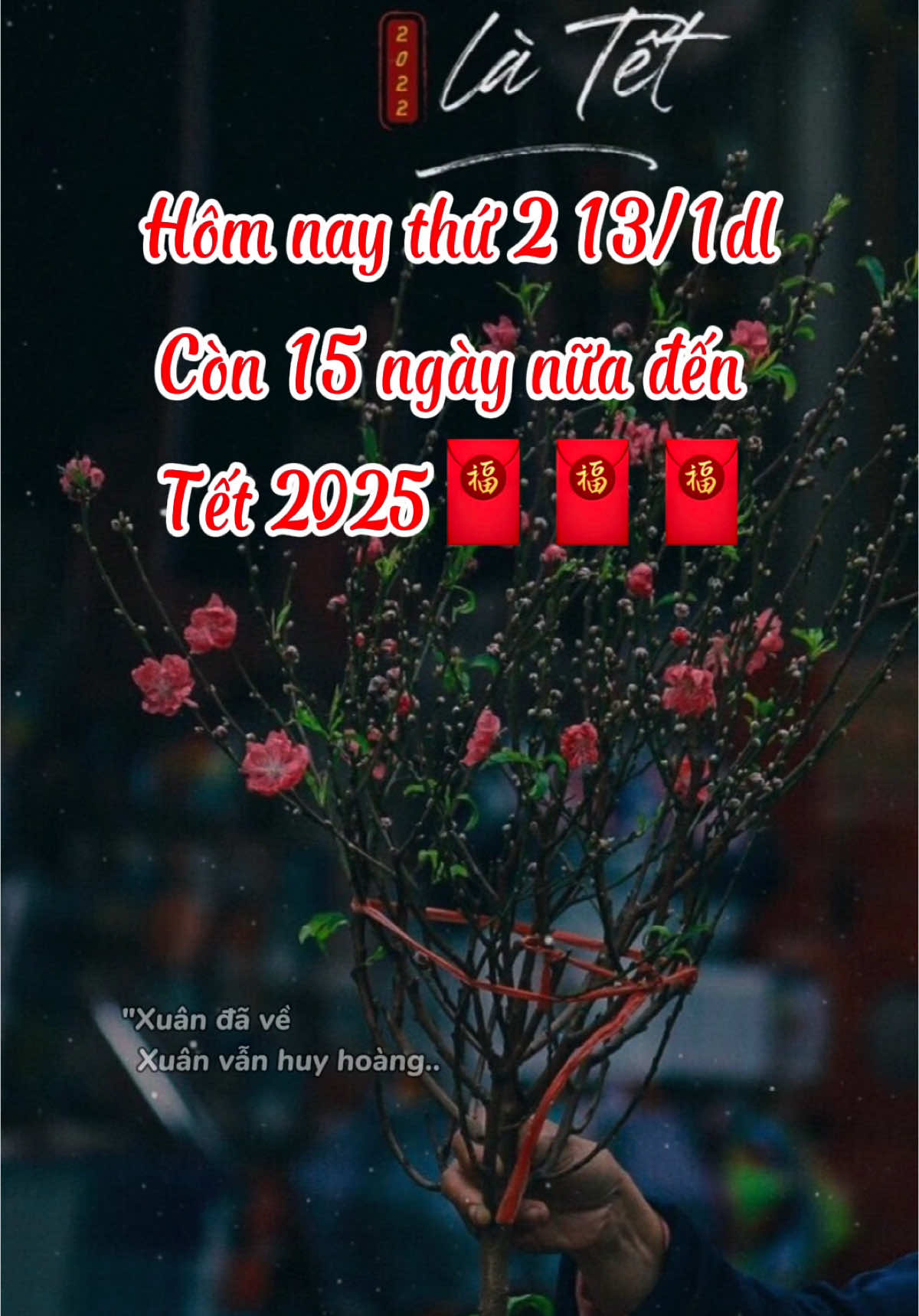 Mọi người lặt lá mai xong chưa nè #tet2025 