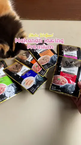 Makanan basah kucing dewasa premium, yuk cobain semua variant buat kucing kamu. #makanankucing #wetfoodkucing #shebawetfood #makanankucingpremium 