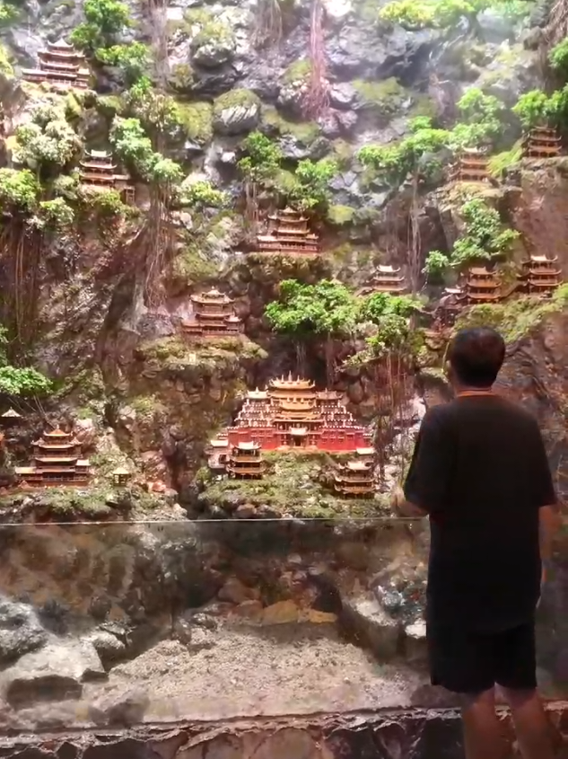 The beauty of the Paludarium cliffs of Chinese civilization😍 #aquascaper #aquascape #aquarium #aquariumhobby #nickzaquascape #art #Home #paludarium 