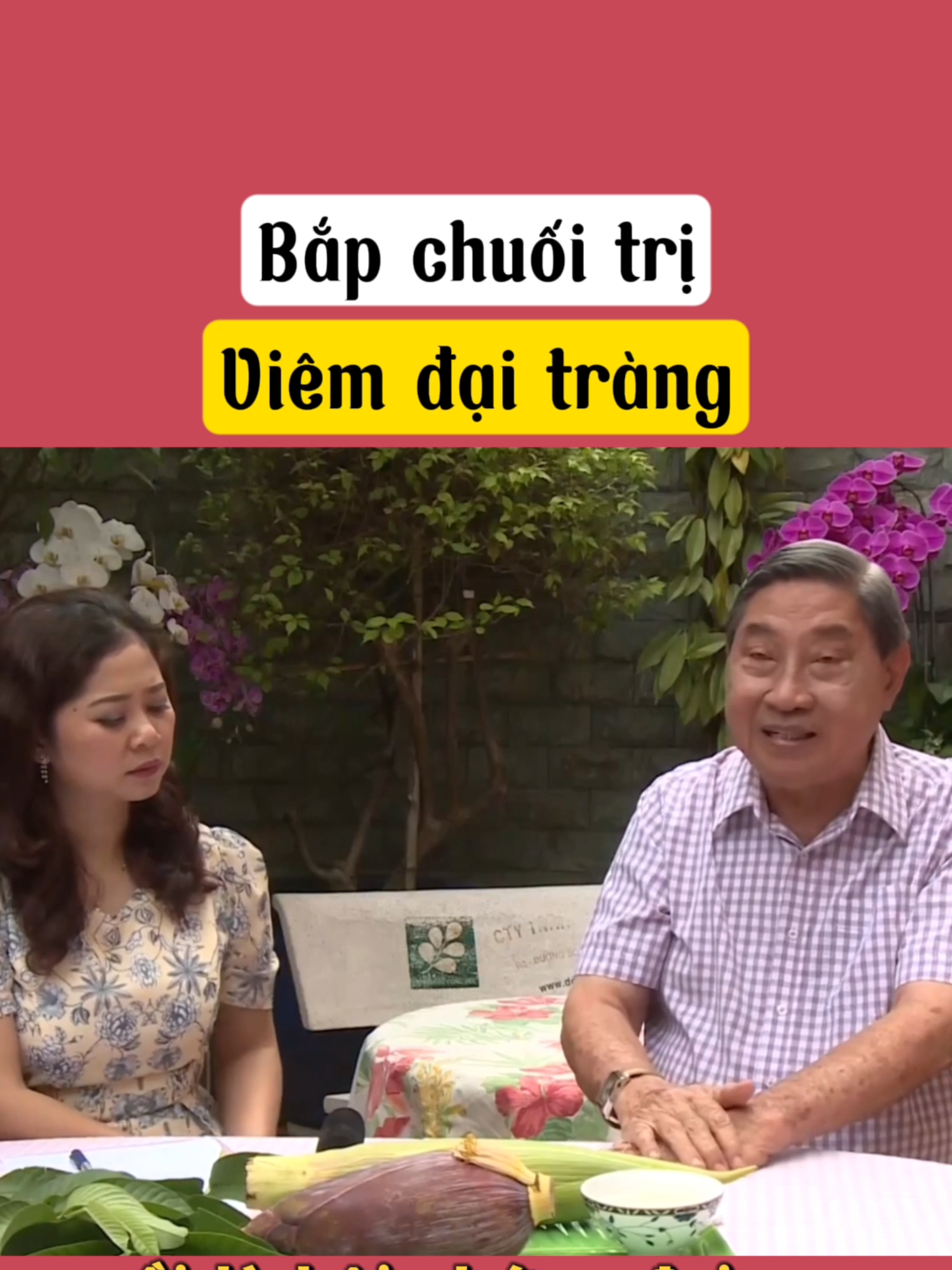 Bắp chuối trị viêm đại tràng #hoachuoi #kinhnguyet #viemdaitrang #nguyencongduc #xuhuong #LearnOnTikTok #viral