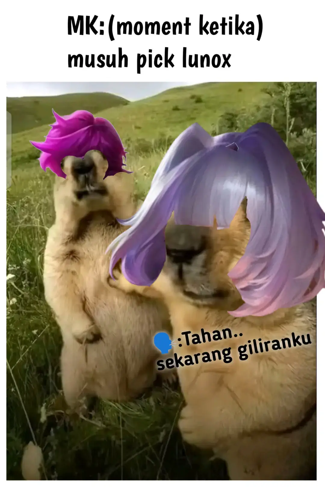 #meme #mobilelegends #tradisi #kagura #lunox #fyp #beranda #tiktok #fouryoupage #foryou #mlbb #masukberanda 