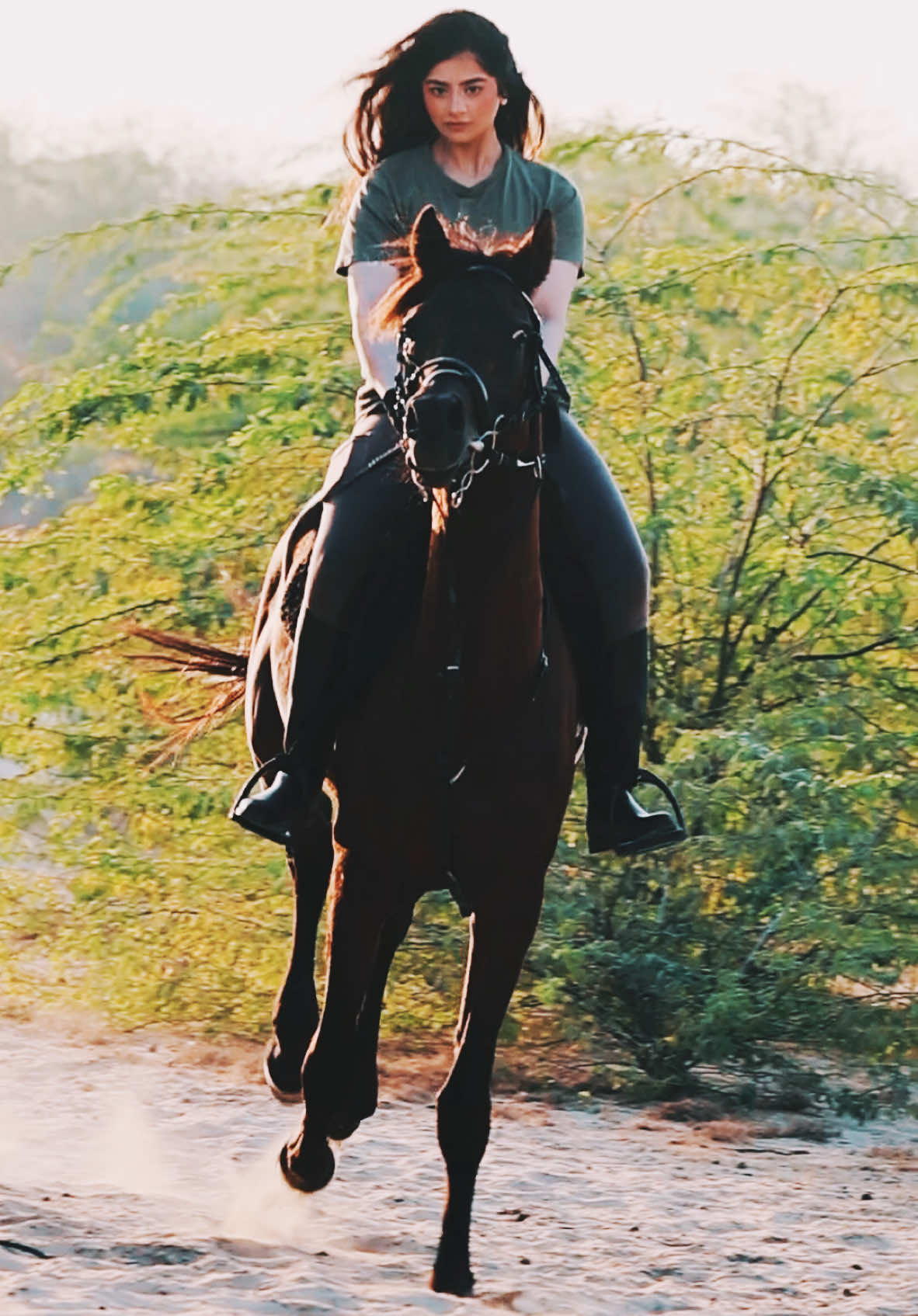 Dubai desert horse riding #foryoupage #muddassar9 #fyp #dubai🇦🇪 