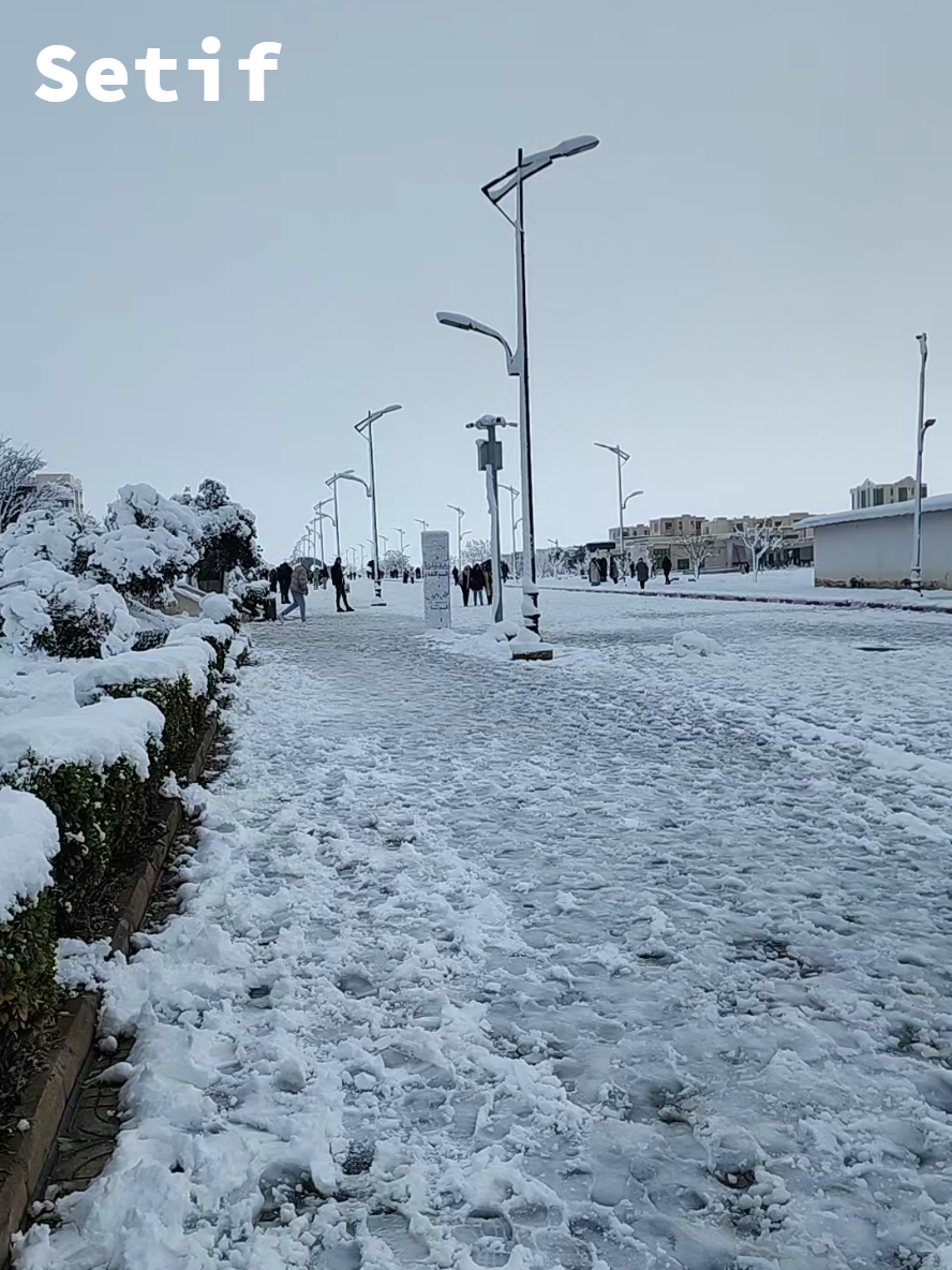 ❄❄❄❄🥶 #setif #snow #جامعة_الهضاب_سطيف #جامعة_محمد_لمين_دباغين_سطيف #setif______19 #الهضاب_سطيف🦅💀 #جامعة_محمد_لمين_دباغين_سطيف #الهضاب_سطيف🦅💀 #الهضاب_سطيف🦅💀 #elhidhab 