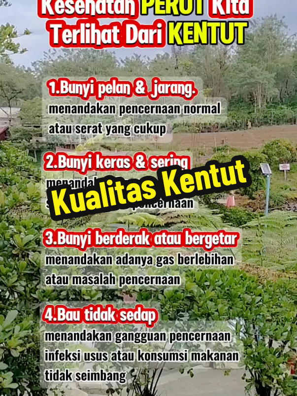 Kesehatan perut terlihat dari kentut..😱⁉️ #tips #tipsandtricks #tipssehat #tipskesehatan #infosehat 