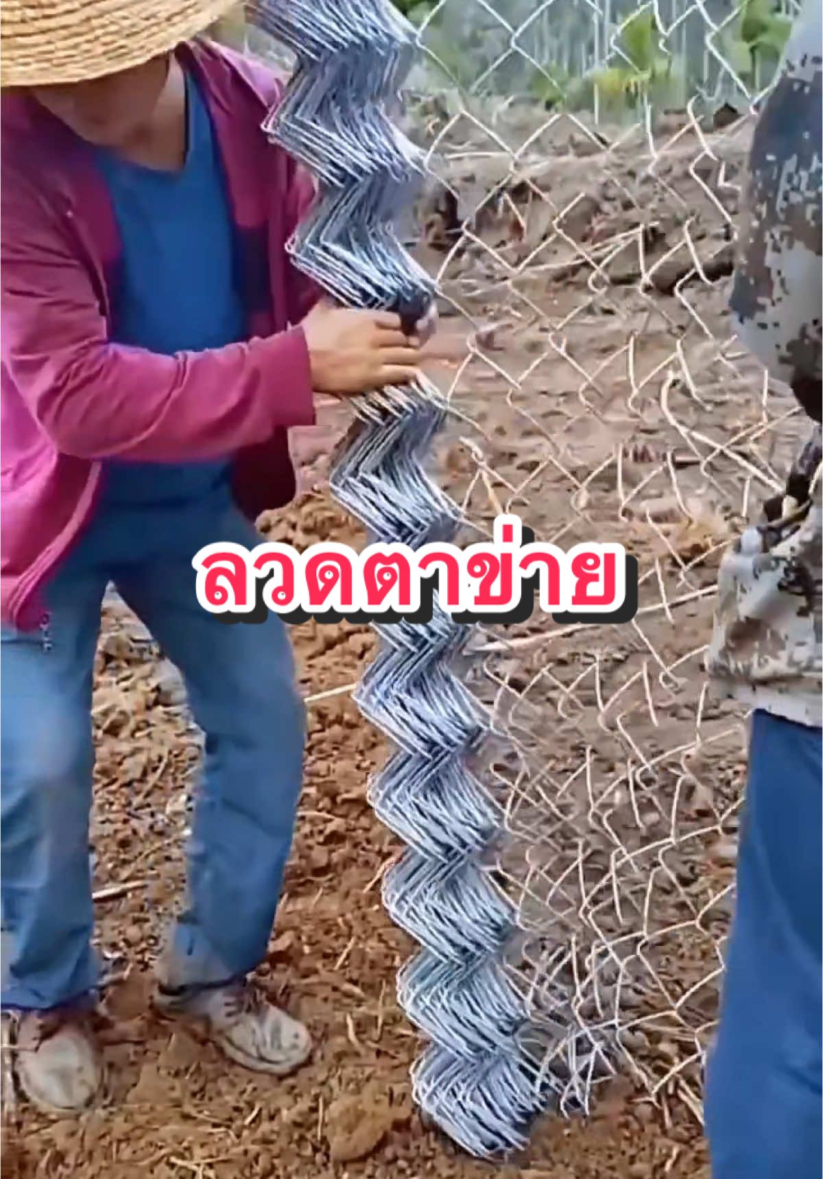 ตาข่ายล้อมรั้วลวดเหล็ก ใช้งานง่าย #ครีเอเตอร์tiktok #ตาข่ายเหล็ก #ตาข่ายลวด #ตาข่ายล้อมรั้ว #ลวดเหล็กล้อมรั้ว #ลวดล้อมรั้ว 
