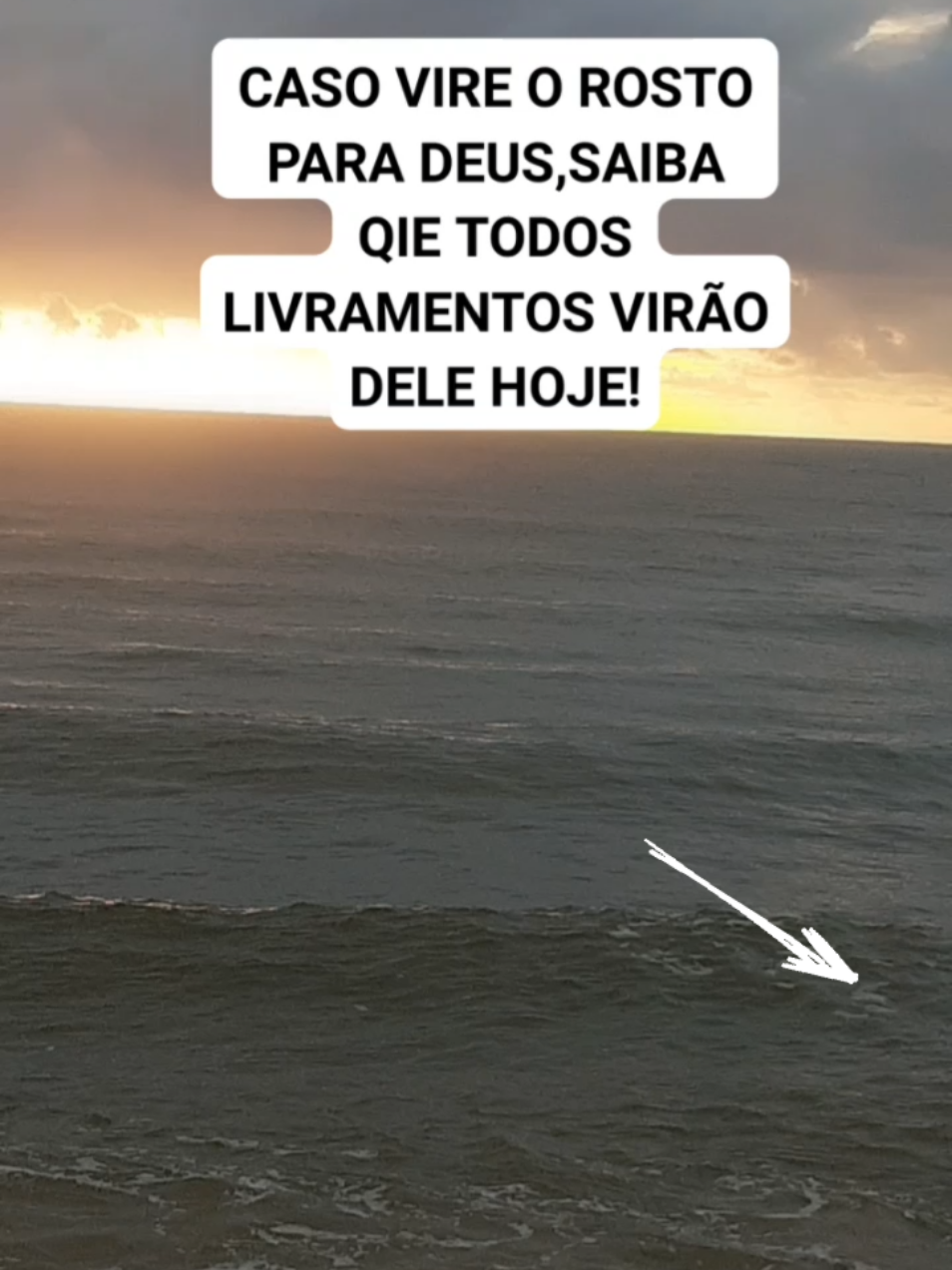 LIVRAMENTO DE HOJE