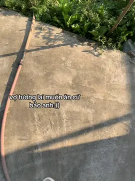cây nhà lá vườn #xh 