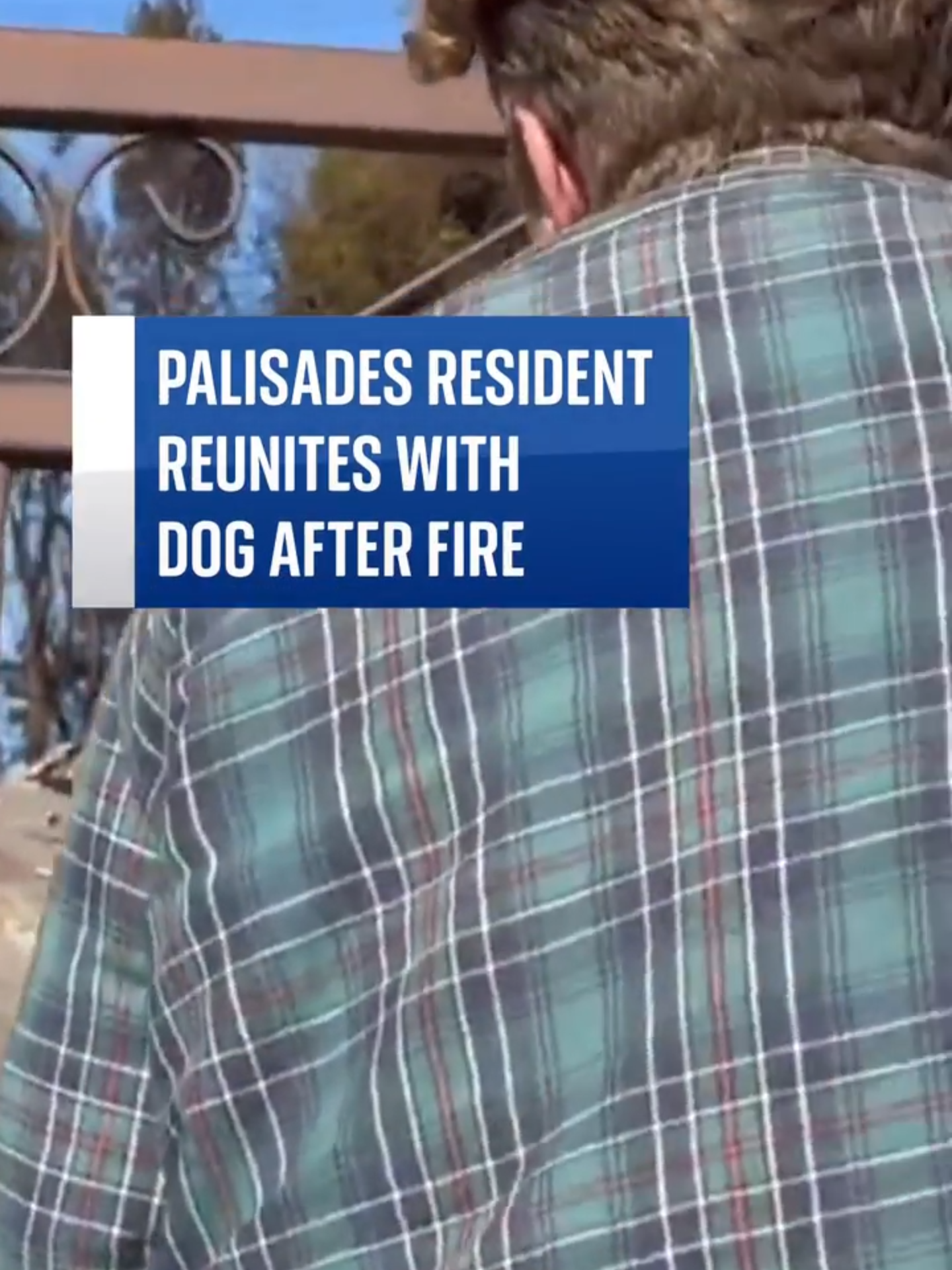 Emotional moment #Palisades resident is #reunited with #dog after LA fires