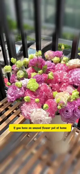 Amazing flowers #aquamarine #reelsus #newyear #viral2025 #spring 