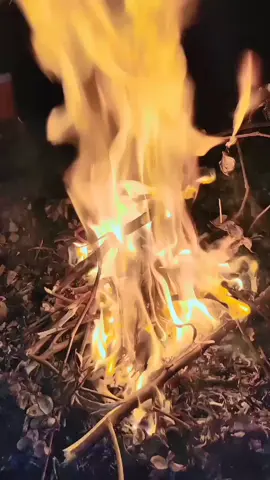 SanGii...❣️ @عاطف میانہ @🔥༺ملنگ❤ @Daniii @Sohail Mughal #waseemnaqi786 #waseemmughalpiplan #waseemloharpiplan #foryou #viral #viralvideo #viraltiktok #tiktok #trending #trending #13rajab_jashan_e_ali 