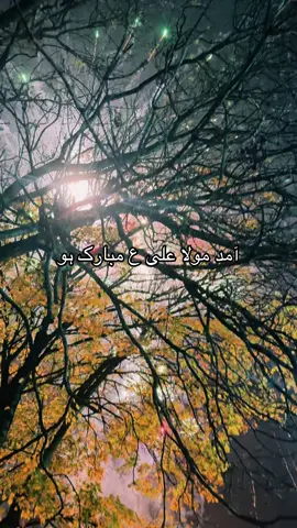 #moulaali #13rajab_jashan_e_ali #wiladat #2025 #videoviral #foruyou #uk #beautiful #najaf #kaaba #trendingvideo #trending