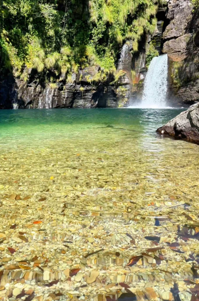 Perfeição 😍 da #natureza 💦😌🇧🇷 #chapadadosveadeiros #river #nature #beautifuldestinations #tourism #bluewater 